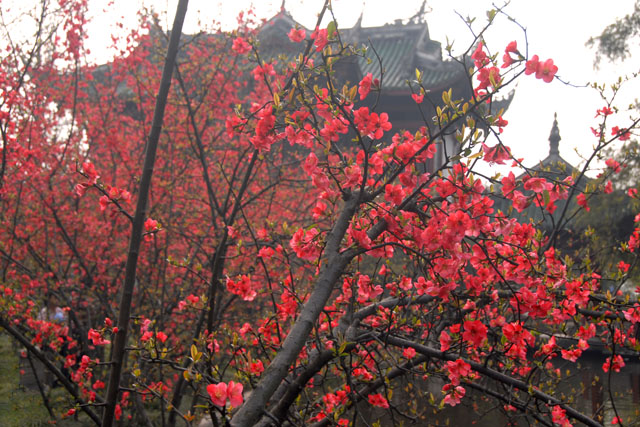 2949_ChengDu