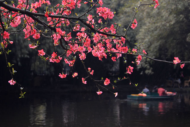 2954_ChengDu