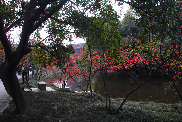 2961_ChengDu