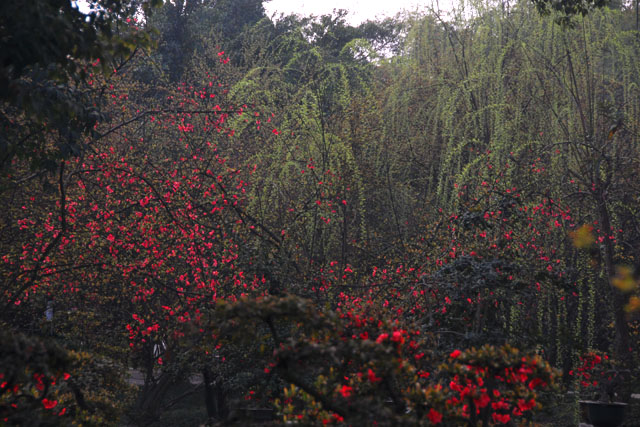 2988_ChengDu