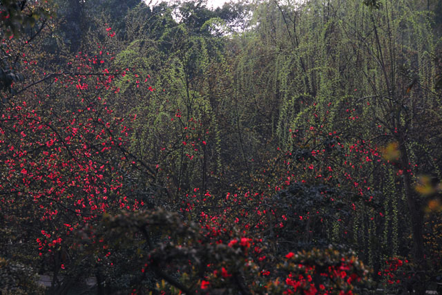 2993_ChengDu