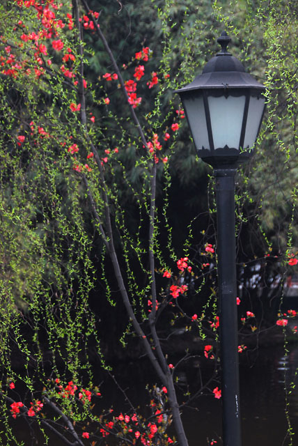 3041_ChengDu