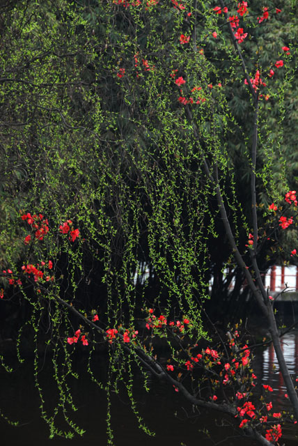 3047_ChengDu