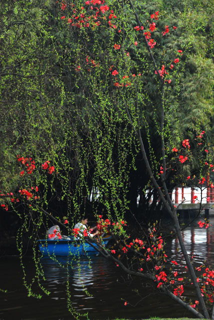 3051_ChengDu