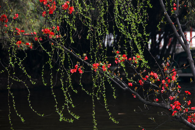 3055_ChengDu