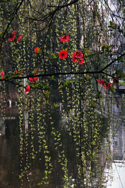 3070_ChengDu