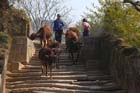 0734_YangShuo