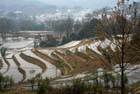 0886_YuanYang@YunNan