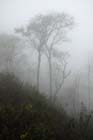0923_YuanYang@YunNan
