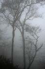 0925_YuanYang@YunNan