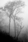 0926_YuanYang@YunNan