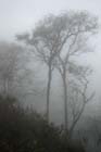 0928_YuanYang@YunNan