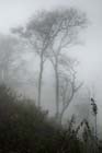 0933_YuanYang@YunNan