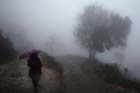 0947_YuanYang@YunNan