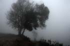 0949_YuanYang@YunNan