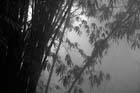 0958_YuanYang@YunNan