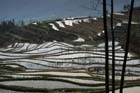 1010_YuanYang@YunNan