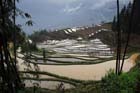 1015_YuanYang@YunNan
