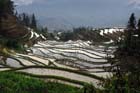 1034_YuanYang@YunNan