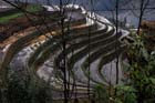 1054_YuanYang@YunNan