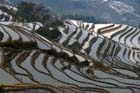 1091_YuanYang@YunNan