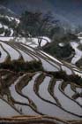 1094_YuanYang@YunNan