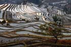1107_YuanYang@YunNan