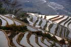 1115_YuanYang@YunNan