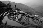 1123_YuanYang@YunNan