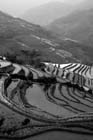 1133_YuanYang@YunNan