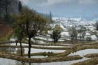 1135_YuanYang@YunNan