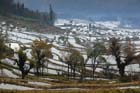 1136_YuanYang@YunNan