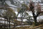 1139_YuanYang@YunNan