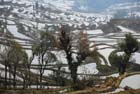 1141_YuanYang@YunNan