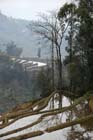 1203_YuanYang@YunNan