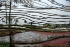 1223_YuanYang@YunNan