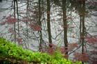 1241_YuanYang@YunNan