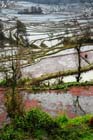 1256_YuanYang@YunNan