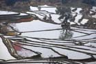 1296_YuanYang@YunNan