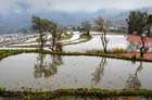 1300_YuanYang@YunNan