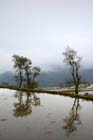 1330_YuanYang@YunNan