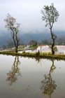 1332_YuanYang@YunNan