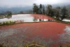 1333_YuanYang@YunNan