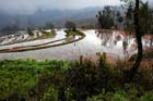 1342_YuanYang@YunNan