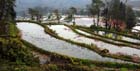 1345_YuanYang@YunNan