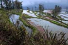 1352_YuanYang@YunNan