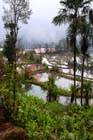 1358_YuanYang@YunNan