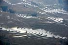 1467_YuanYang@YunNan
