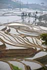 1482_YuanYang@YunNan