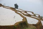 1487_YuanYang@YunNan